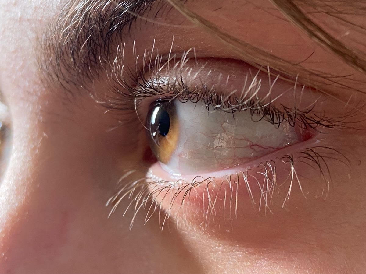 Lash & Brow Growth Oil